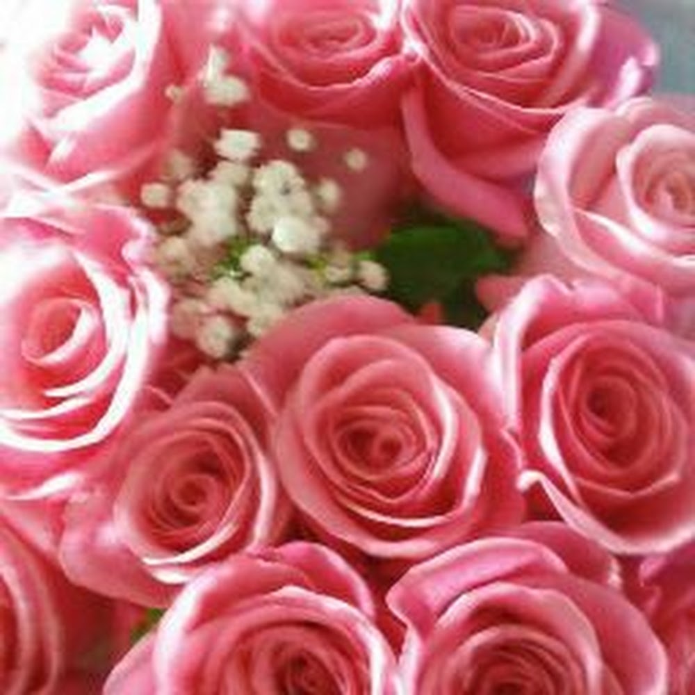 Meet your Posher, S.